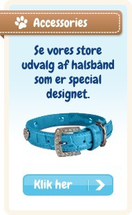 /accessories.html