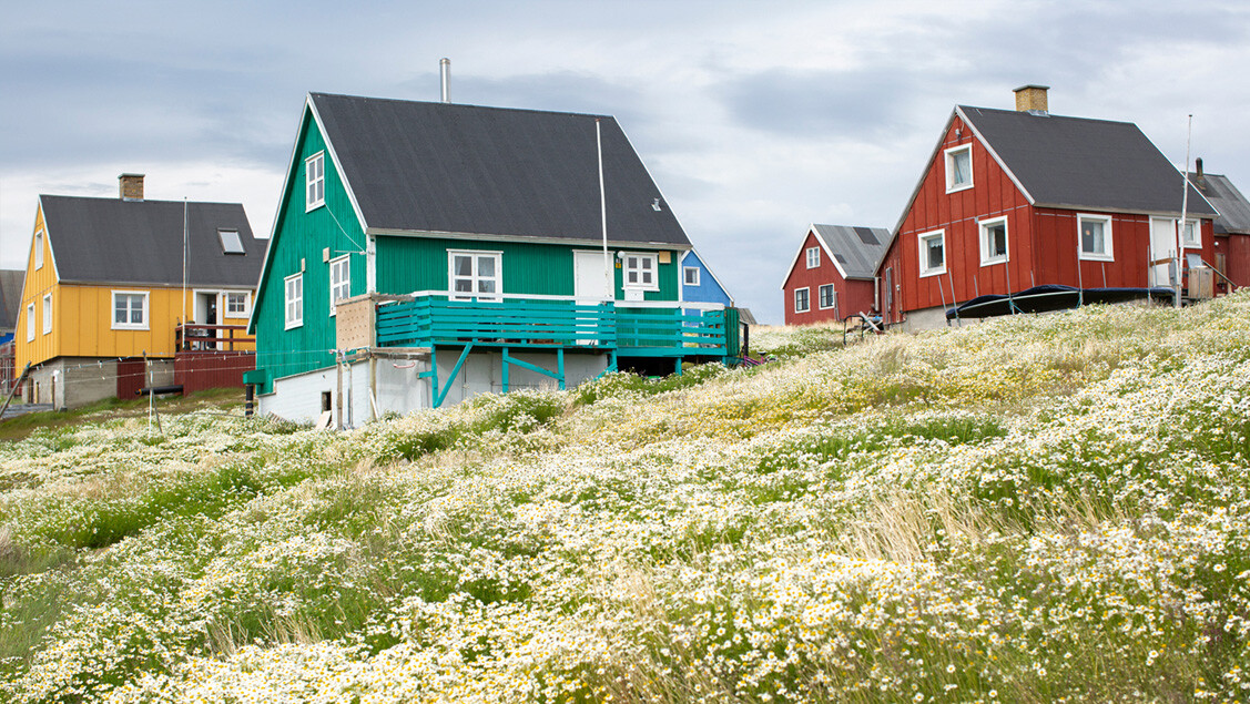 Grønlandske huse i forskellige farver.