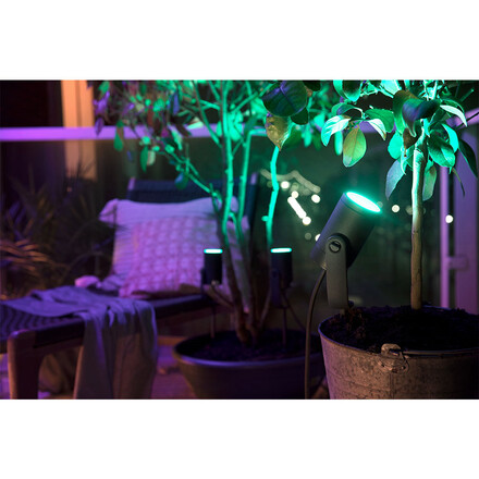 mechanisme dikte Diplomatieke kwesties Lily Spike Extension t/Outdoor Spot 1x8W White/Color Amb. Antracit - Philips  Hue - Buy online