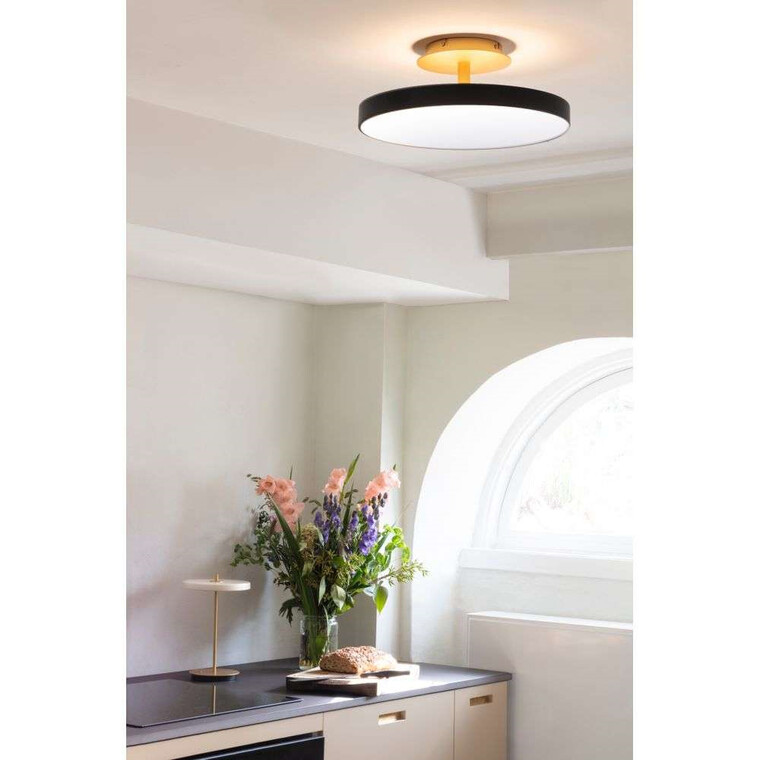 asteria ceiling lamp