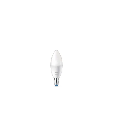 Lampadine Smart Color 4,9W 470lm 2700-6500K 2-pack Candela E14 - WiZ -  Acquista qui