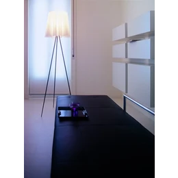 Rosy Angelis Floor Lamp - Flos - Buy online