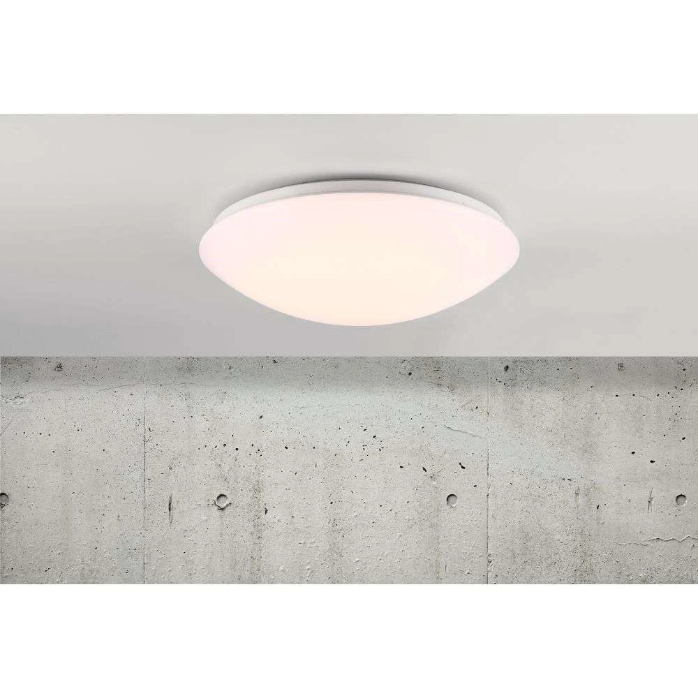 Ask 36 LED - Nordlux w/Sensor Lamp IP44 White - online Buy Ceiling