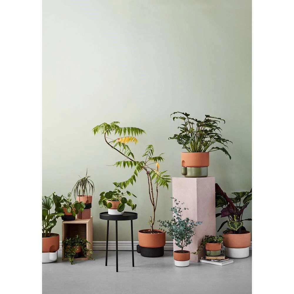 SLIM FLOWER POT  Small plants in tight spaces - Monkey