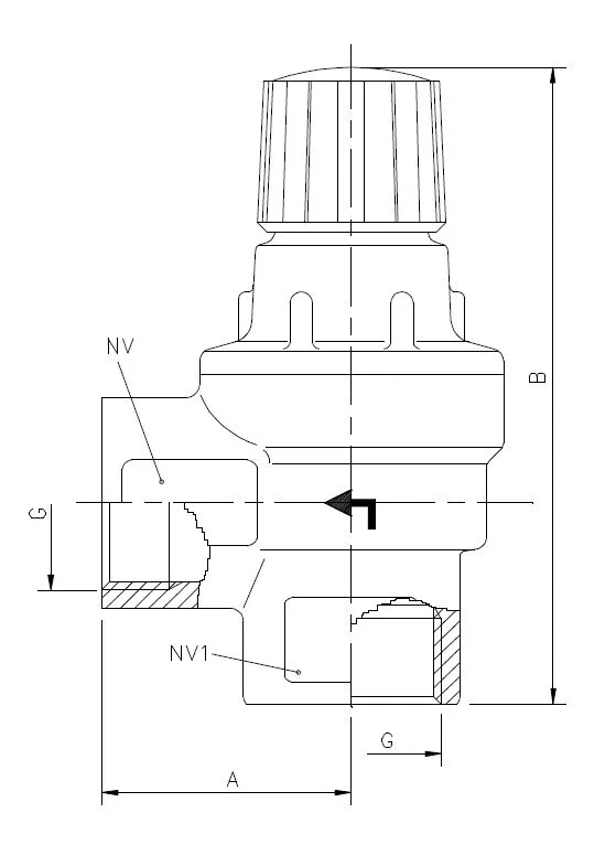 Safety Valve with female parallel pipe thread - EV Metal A/S