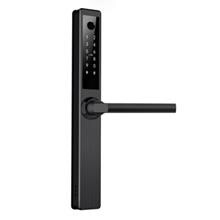 Smart Lock DZ 1041, sort