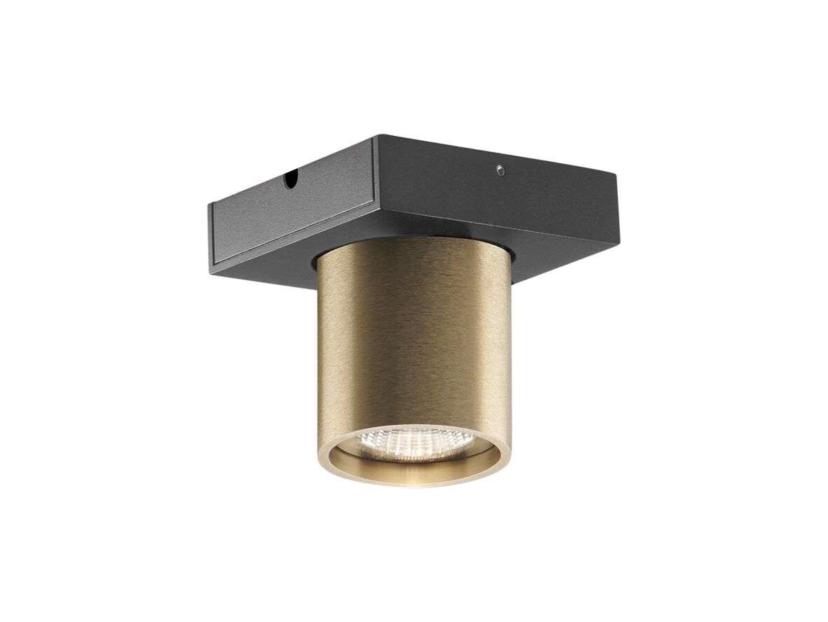 LIGHT-POINT - Focus Mini 1 LED Plafondlamp 2700K Brass