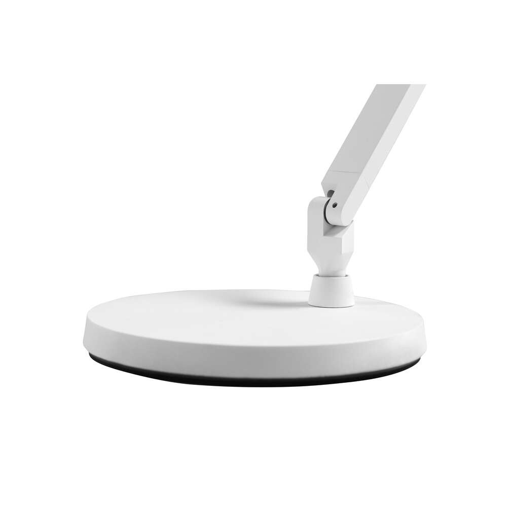 Light-Point – Dark Base T1 White