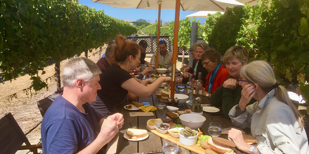 Gruppe af rejsende nyder frokost i vinmarker