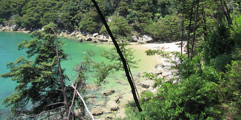 Strand og skov ved Abel Tasman Nationalpark