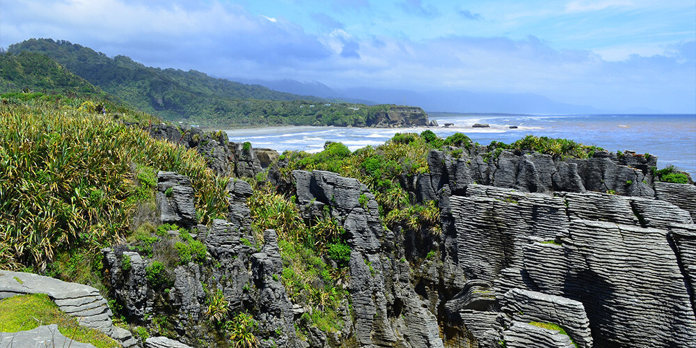 Klippesøjler ved Cape Foulwind i New Zealand.