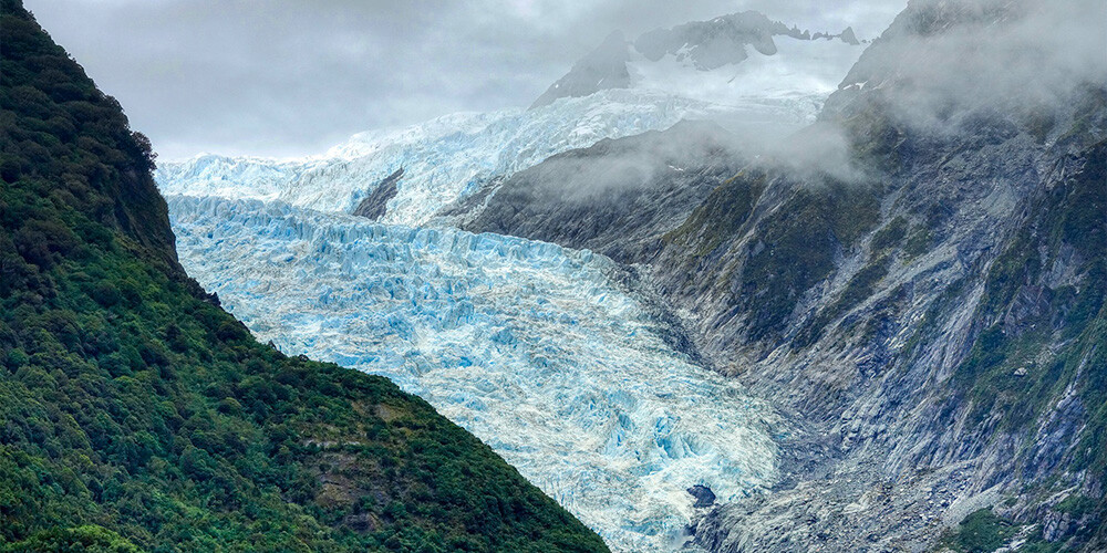 Franz Josef-gletsjeren med grøn, trædækket bjergside i forgrunden.