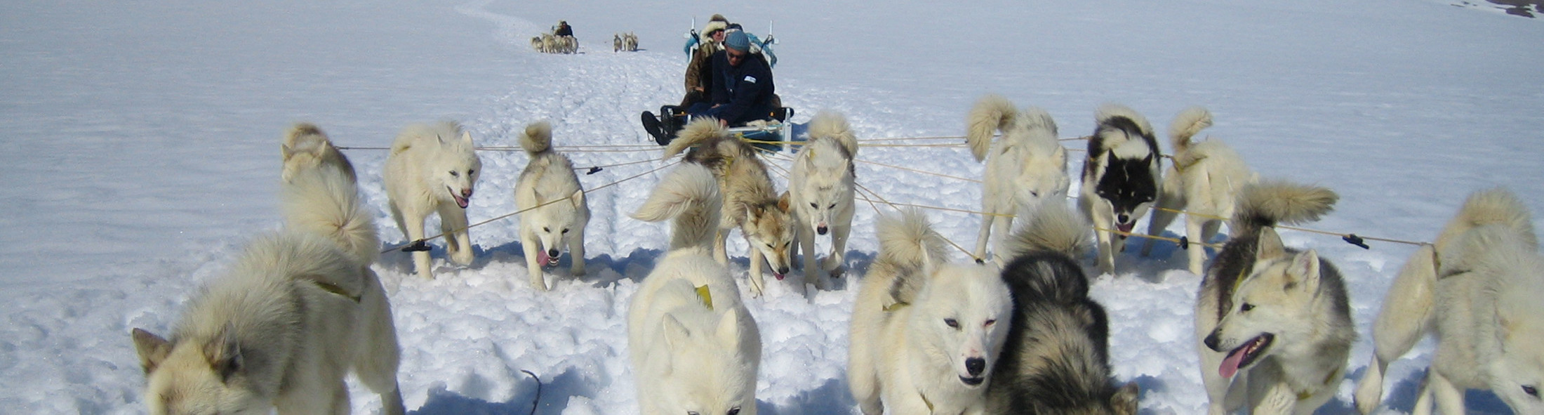 Knud Rasmussen Læs mere om den kendte polarekspeditionsleder