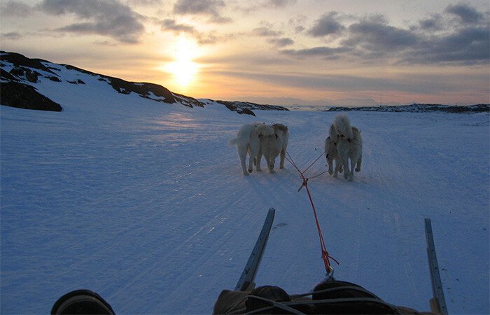 Dog sledding through the snow with a beautiful view of the sunset in the background.